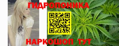 спиды Заволжье