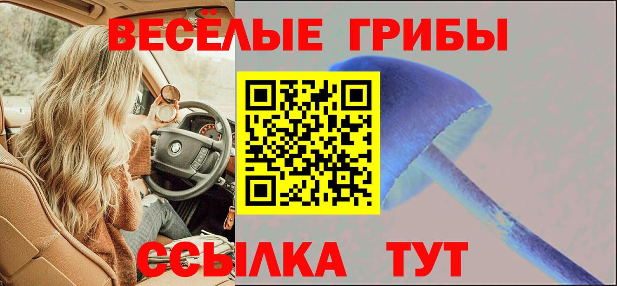 Галлюциногенные грибы GOLDEN TEACHER Казань